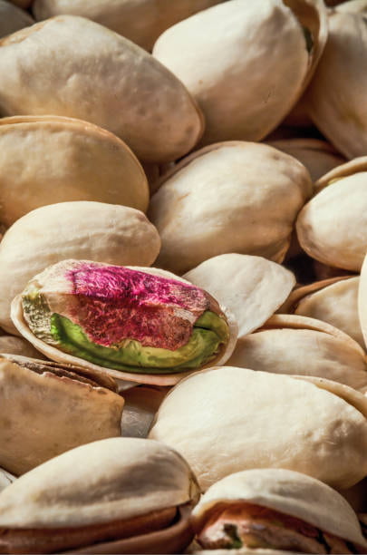 تصویر 4 از قیمت پسته اکبری سفید با کیفیت ارزان + خرید عمده